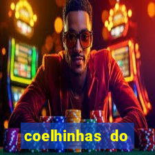 coelhinhas do brasil recife